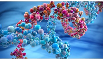 Immune System Strengthening